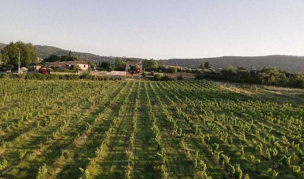 vignes attenantes aux château des salles